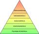 Kritik an Maslow: Die Maslowsche Bedürfnis-Pyramide irrt